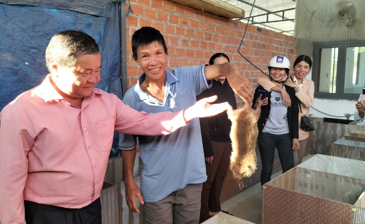 Đề án 61 1
